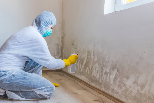 Licensed Mold Inspection And Testing service in Forest Hill, TX - Mold Remediation HQ