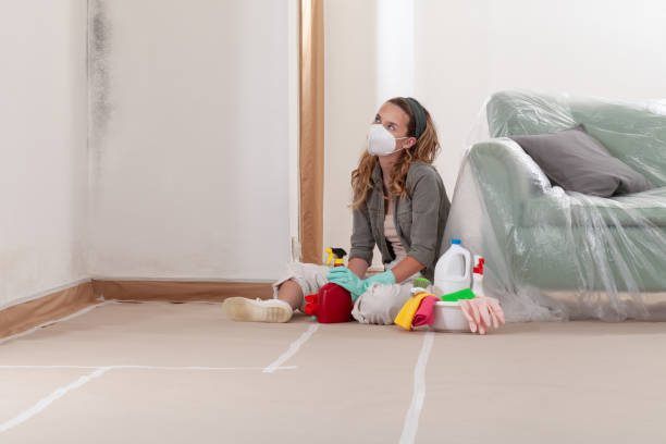 Reliable Mold Inspection And Testing contractor in Forest Hill, TX by Mold Remediation HQ